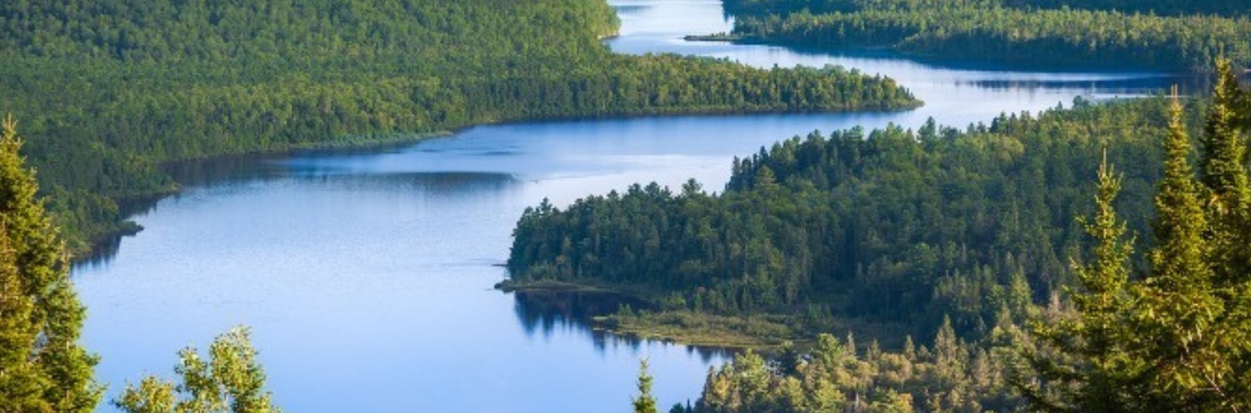 Base pour sortie médiatique G15+