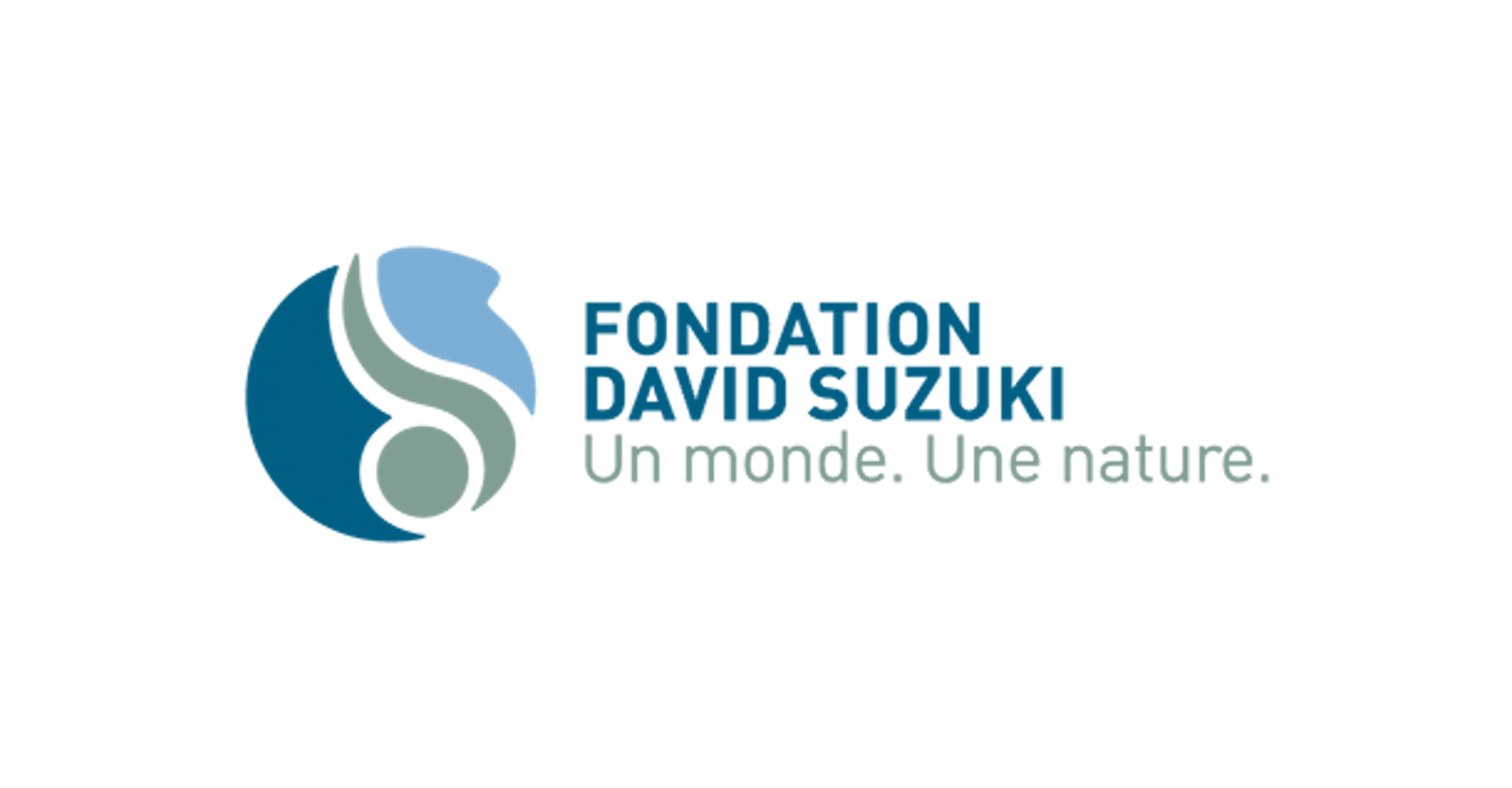 logo fds